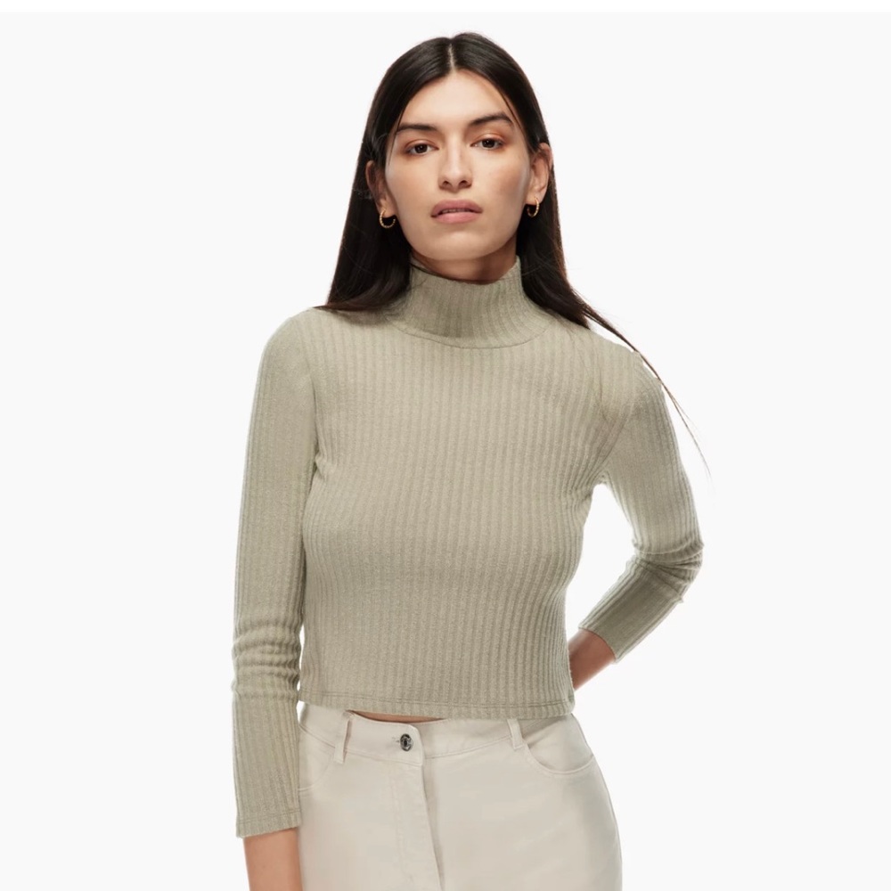 Aritzia Wilfred Free Tamu Turtleneck (M)